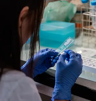 Tubos de ensayo en gradilla